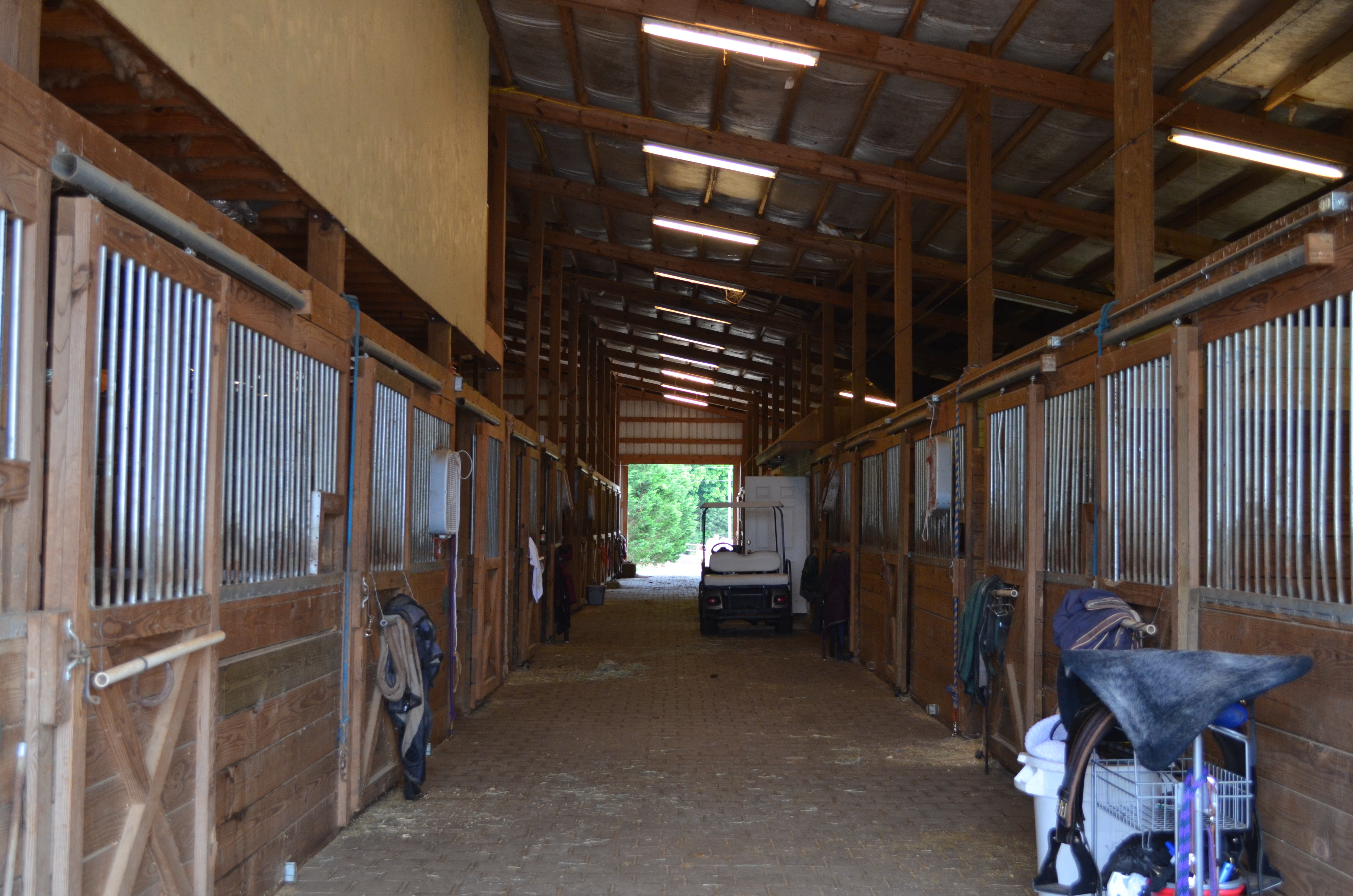 ./2013/Southern Cross Ranch/DSC_2242.JPG